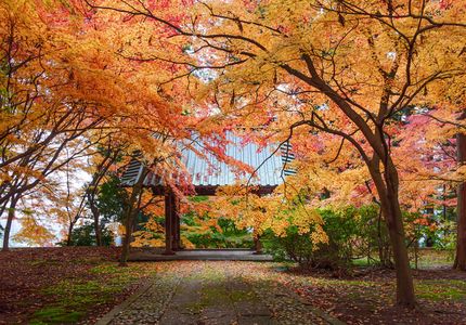 北信濃紅葉寺巡り
