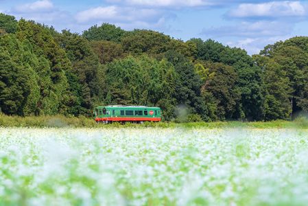 新そばが待ち遠しい！