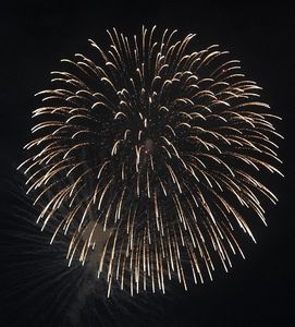 夜空に咲いた大輪の花