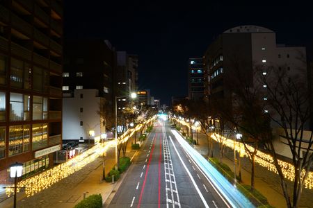 シャンパンゴールドの堺イルミネーション