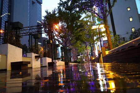 御堂筋イルミネーション