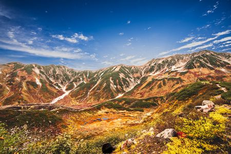 2025　室堂平の秋（2）