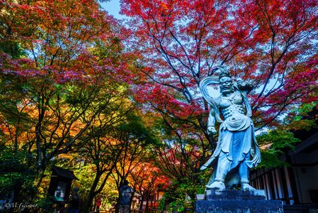2025　呑山観音寺の秋