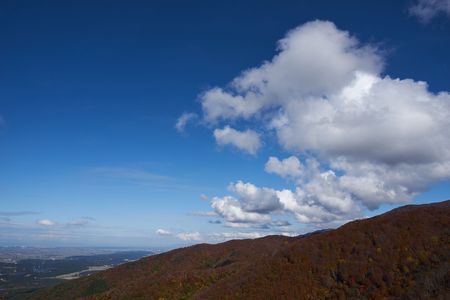 秋のお山