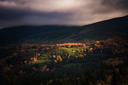 スポットライト(秋)