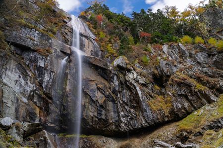 高嶺を彩る錦の雫