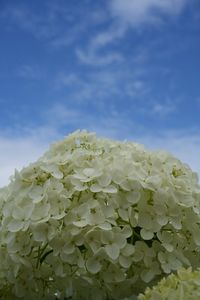 梅雨入りの晴れ間