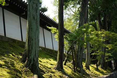 東福寺