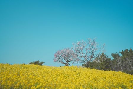 ずっと一緒