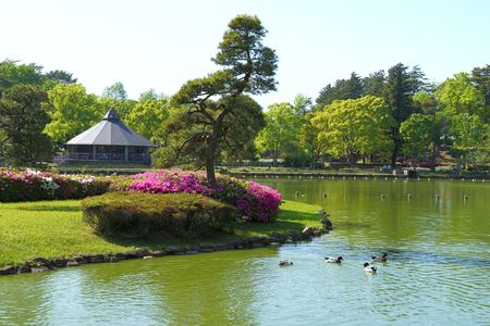 躑躅咲く千葉公園