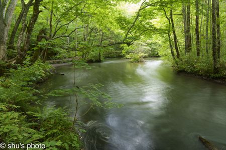 色づき始めた奥入瀬渓流(1) #青森県#