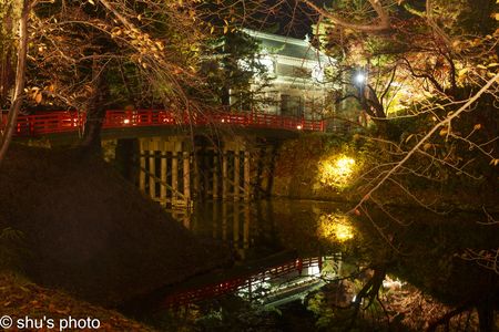 弘前公園の紅葉(4)