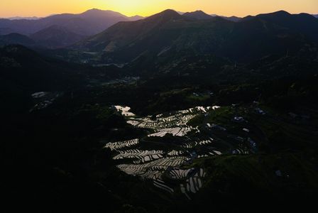 夕暮れの丸山千枚田
