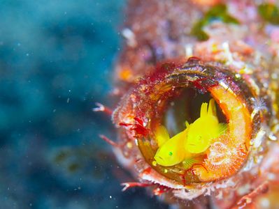 安心マイホームライフ