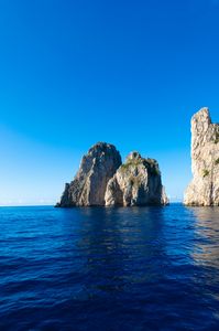 ファラリオーニ