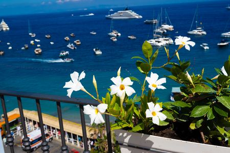 カフェテリアから眺める海