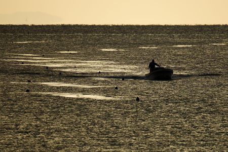 海苔を育てる