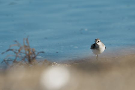 初秋の候　#トウネン#