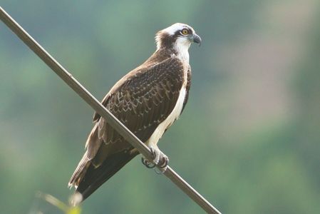 視線の先にはターゲット