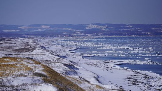 この先は天気任せ