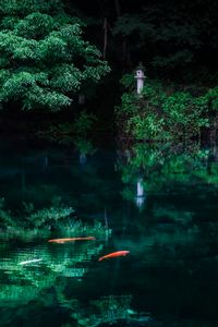 【投稿例】　撮影：RyotaUdagawaさん