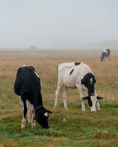 【投稿例】　撮影：しふぉん さん