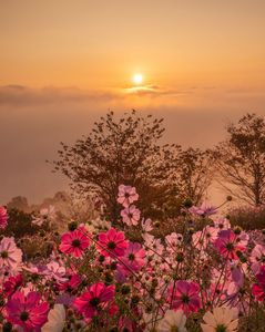 【投稿例】　撮影：riemiさん