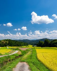 【投稿例】　撮影：Yutoさん