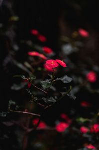 大空に向かって