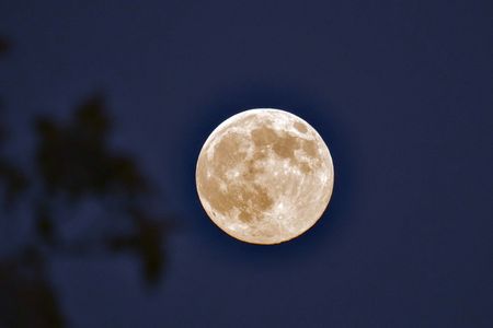 ビーバームーン