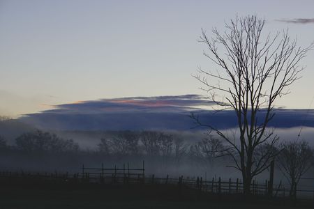 早朝の雲海霧