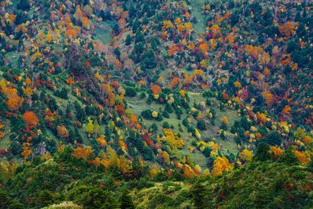 志賀高原#カレンダー2025#