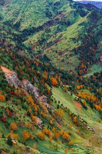 Shiga Kōgen Autumn Color #カレンダー2025#