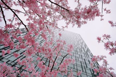 高層ビルをバックに…