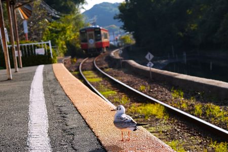 とり駅長さん　（期間限定）