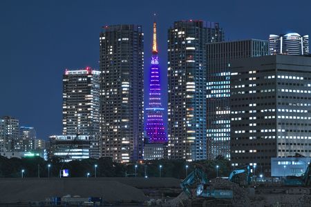 夜の挟まれ東京タワー