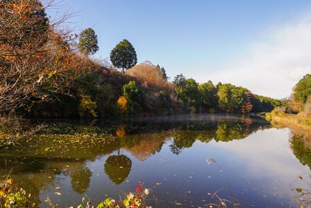 対称と非対称と