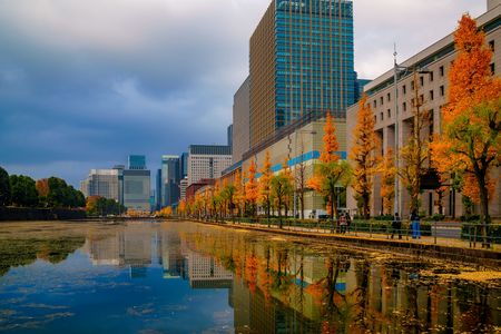 初冬・光・彩　～皇居お堀端から東京駅へ...初冬への景色の移ろいを撮り描き残す～