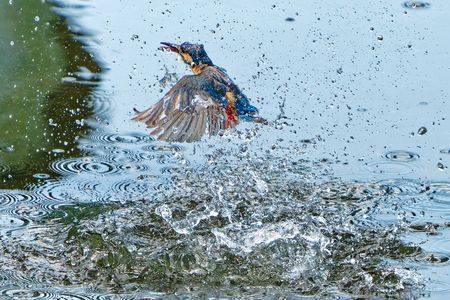 水飛沫