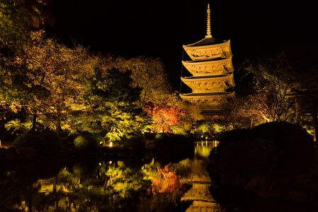 東寺ライトアップ