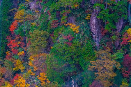 御在所ロープウェイから