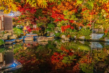 湖東三山百済寺ライトアップ