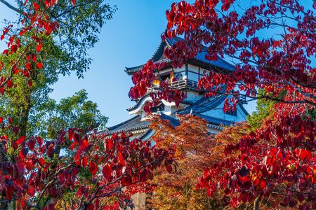 犬山城の紅葉