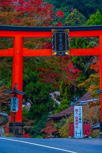 日吉大社の紅葉