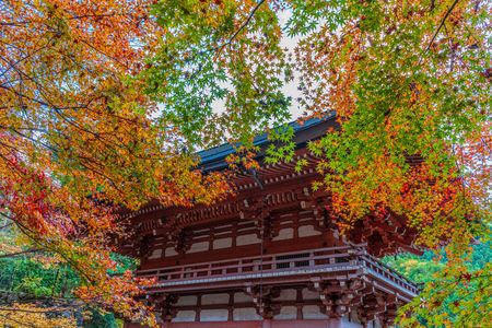 鞍馬寺の紅葉