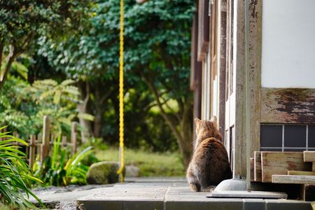 待ち人来たらず？