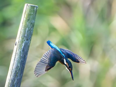 ターゲットロックオン‼️