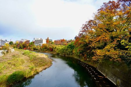 広瀬川　秋の装い