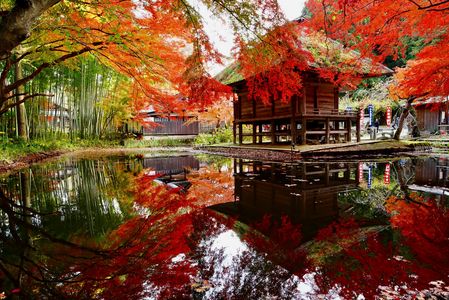 紅葉水面鏡　中尊寺