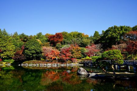 日本庭園　秋